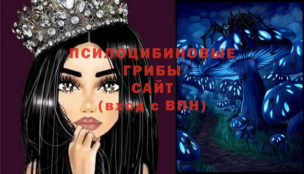 PSILOCYBIN Михайловск