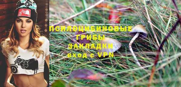 марки lsd Михайлов