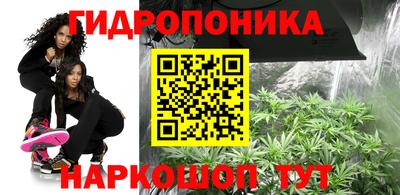 Альфа ПВП Обь