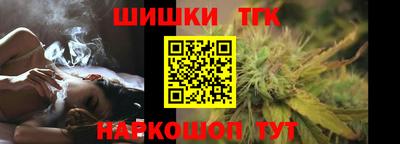 Альфа ПВП Обь