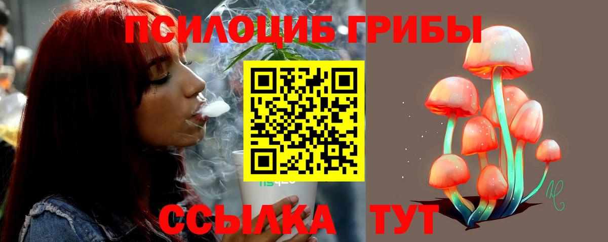хочу   Вход с VPN  Чусовой  Псилоцибиновые грибы Cubensis 